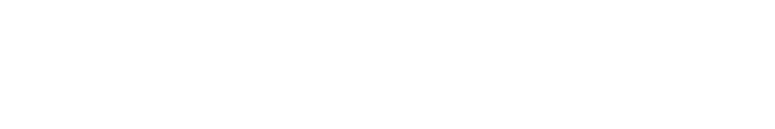 Skinus ERP
